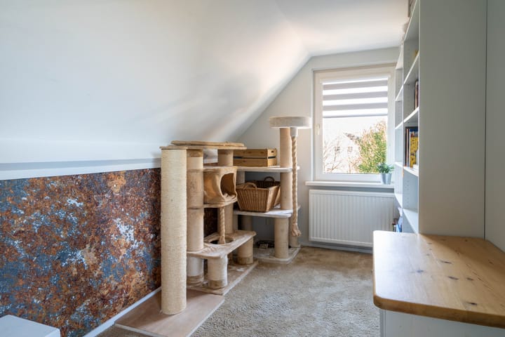 Photo 26 of Witacker 2