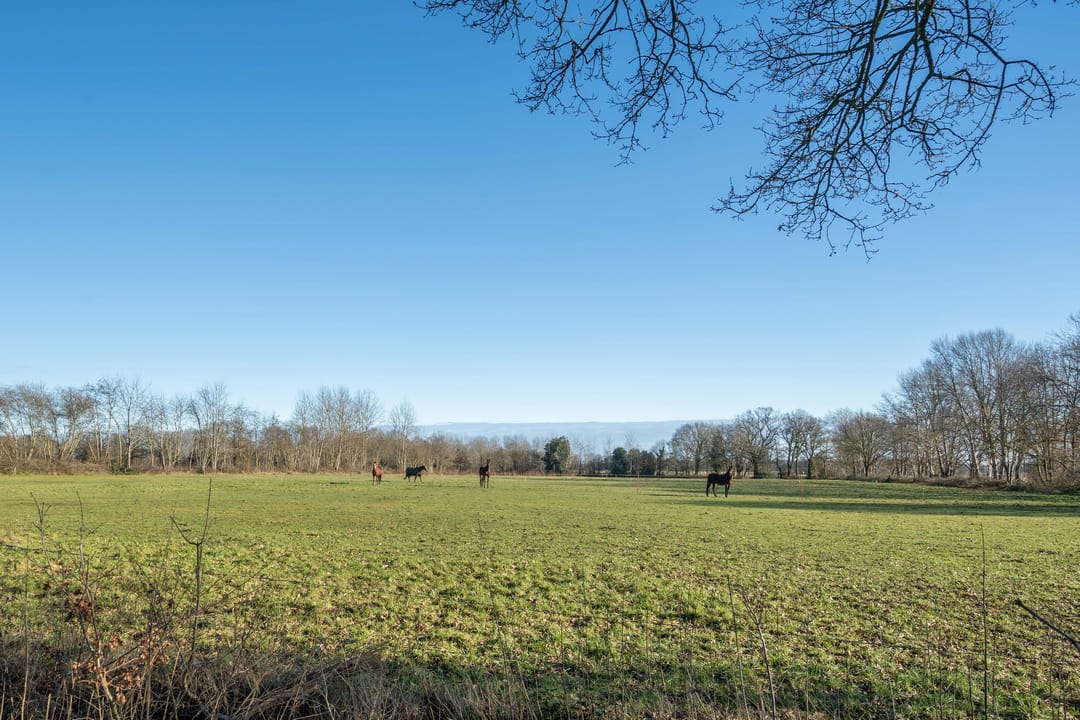 Foto 52 van Witacker 2