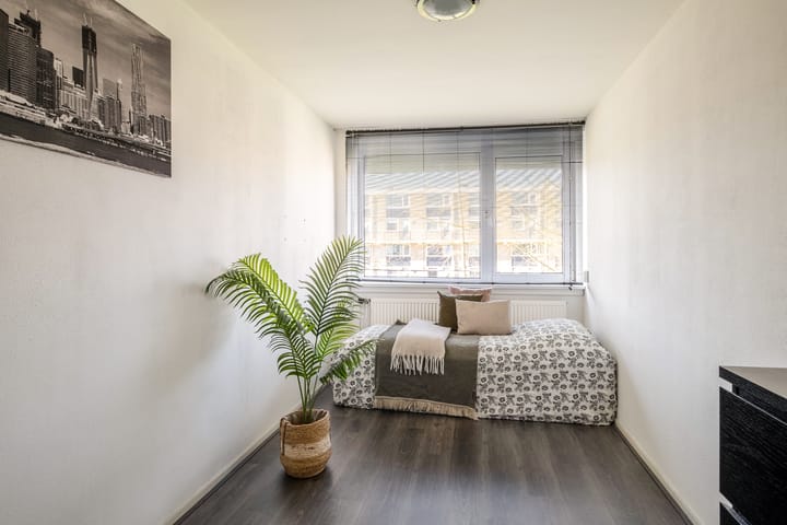 Foto 18 van Roelof van Schevenstraat 11