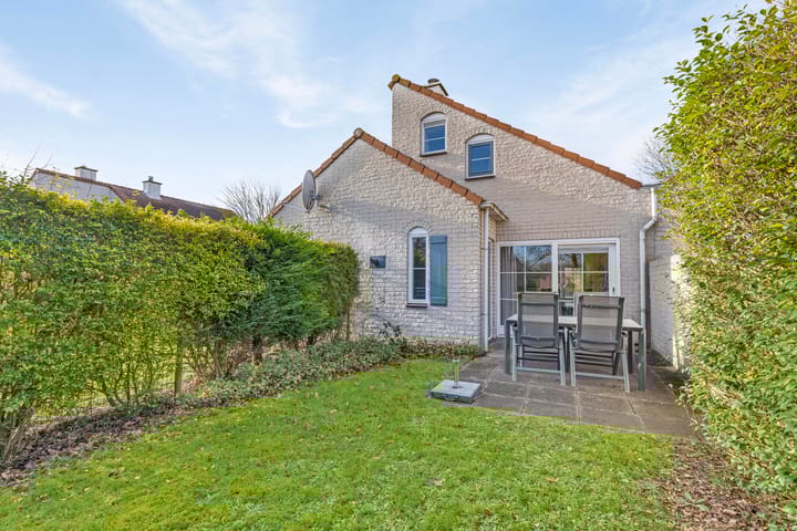 Foto 1 van Cardium 40