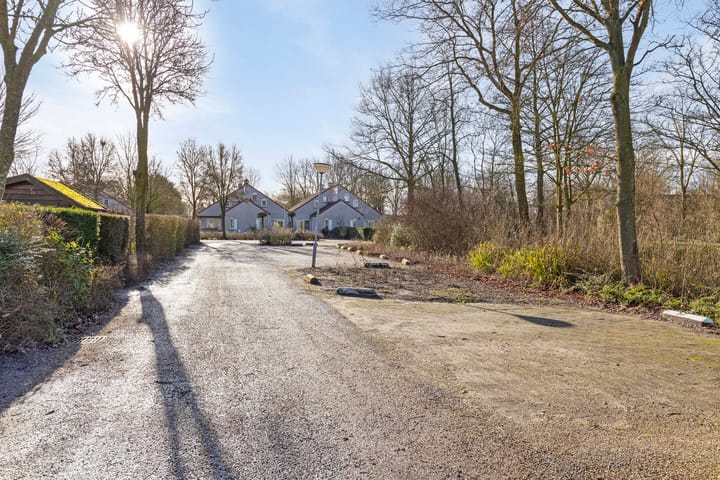 Foto 20 van Cardium 40