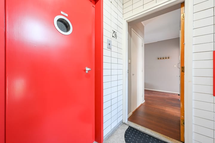 Foto 24 van Vlaskamp 256