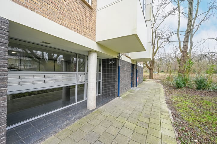 Foto 26 van Vlaskamp 256