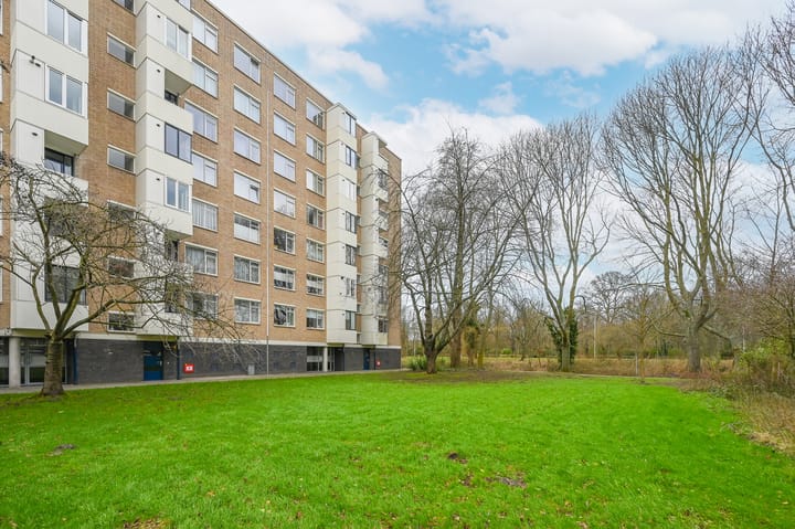 Foto 29 van Vlaskamp 256