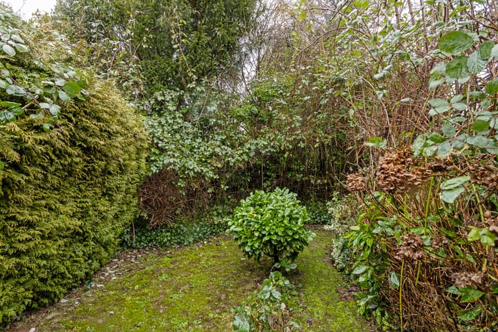 Foto 33 van Hoogland 14