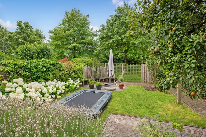 Foto 22 van Cubalaan 42