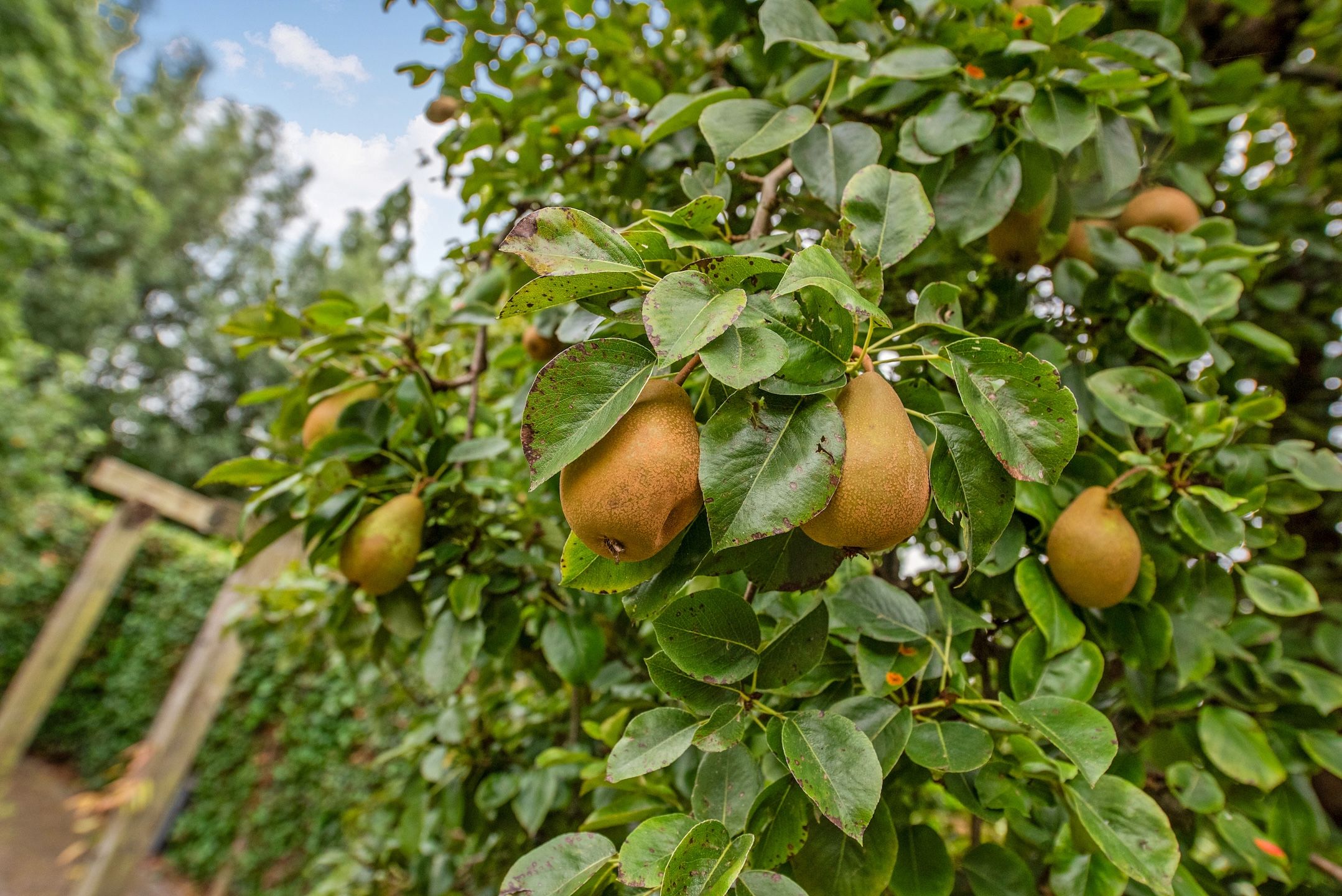 Foto 27 van Cubalaan 42