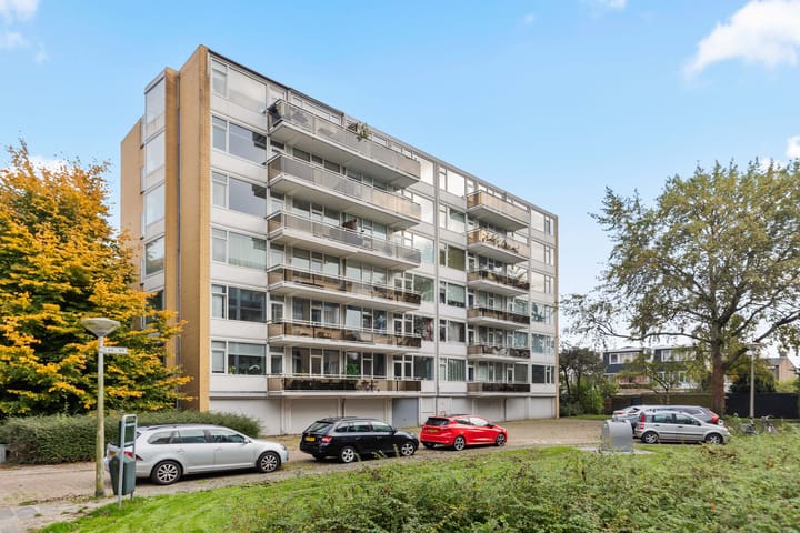 Foto 6 van Rozenoord 135