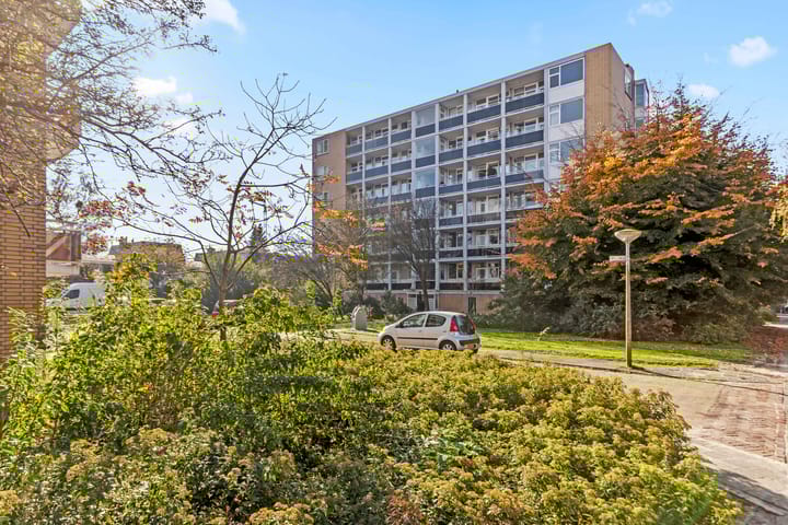 Foto 37 van Rozenoord 135