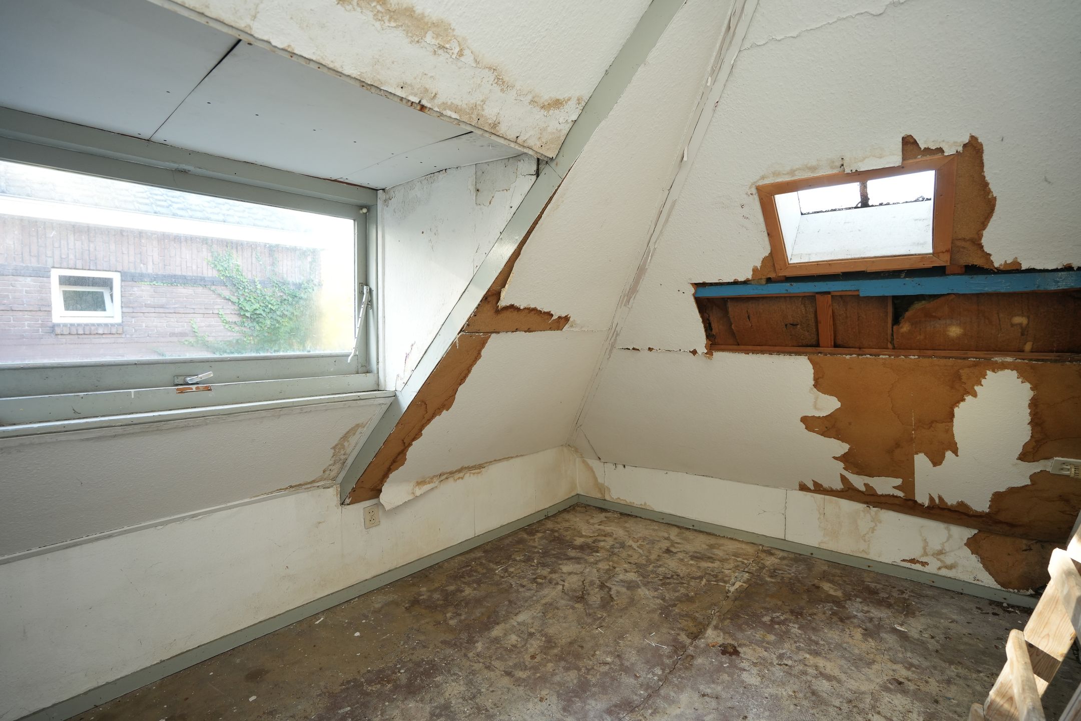 Photo 18 of Schependomlaan 1