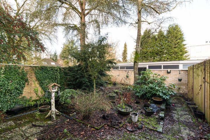 Foto 17 van Montessorilaan 24