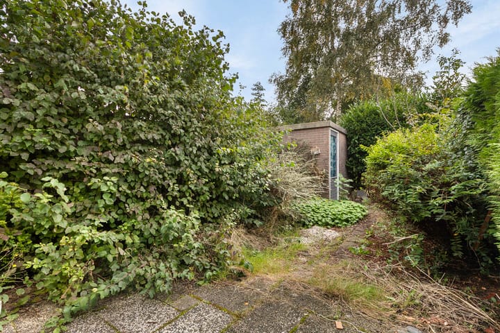 Foto 37 van Tegelenpad 37