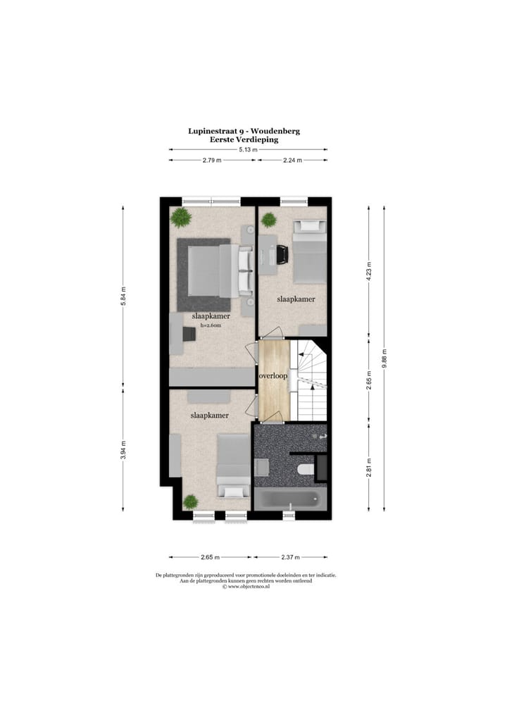 Foto 30 van Lupinestraat 9