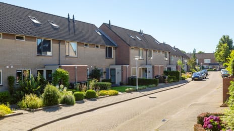 Plataan / Salderes main image