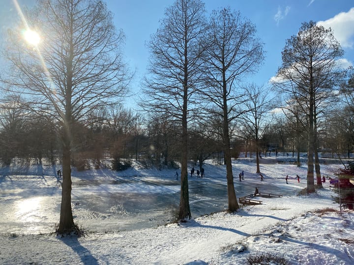 Foto 36 van Witte de Withstraat 40