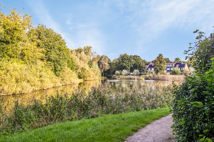 Foto 40 van Witte de Withstraat 40