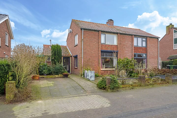 undefined main image