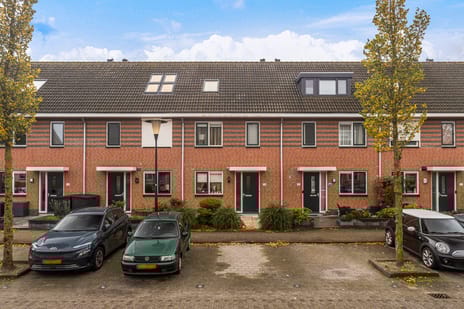 Palmhout 28 secondary image