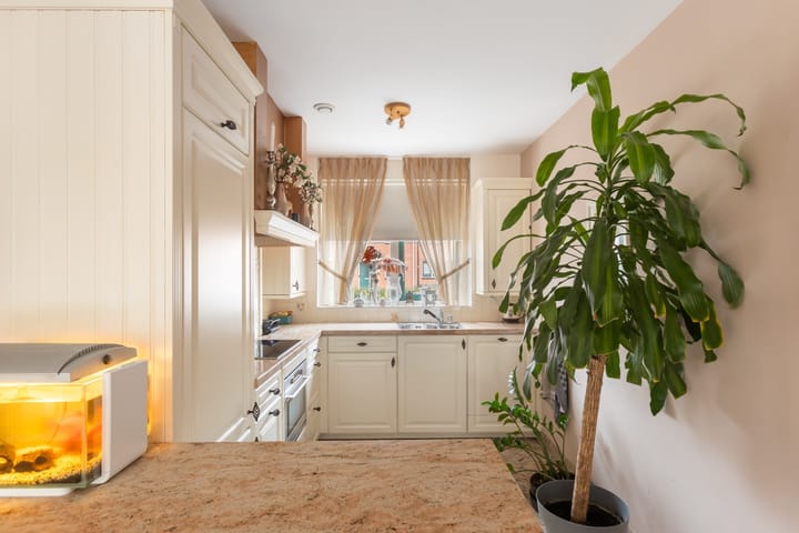 Foto 9 van Palmhout 28