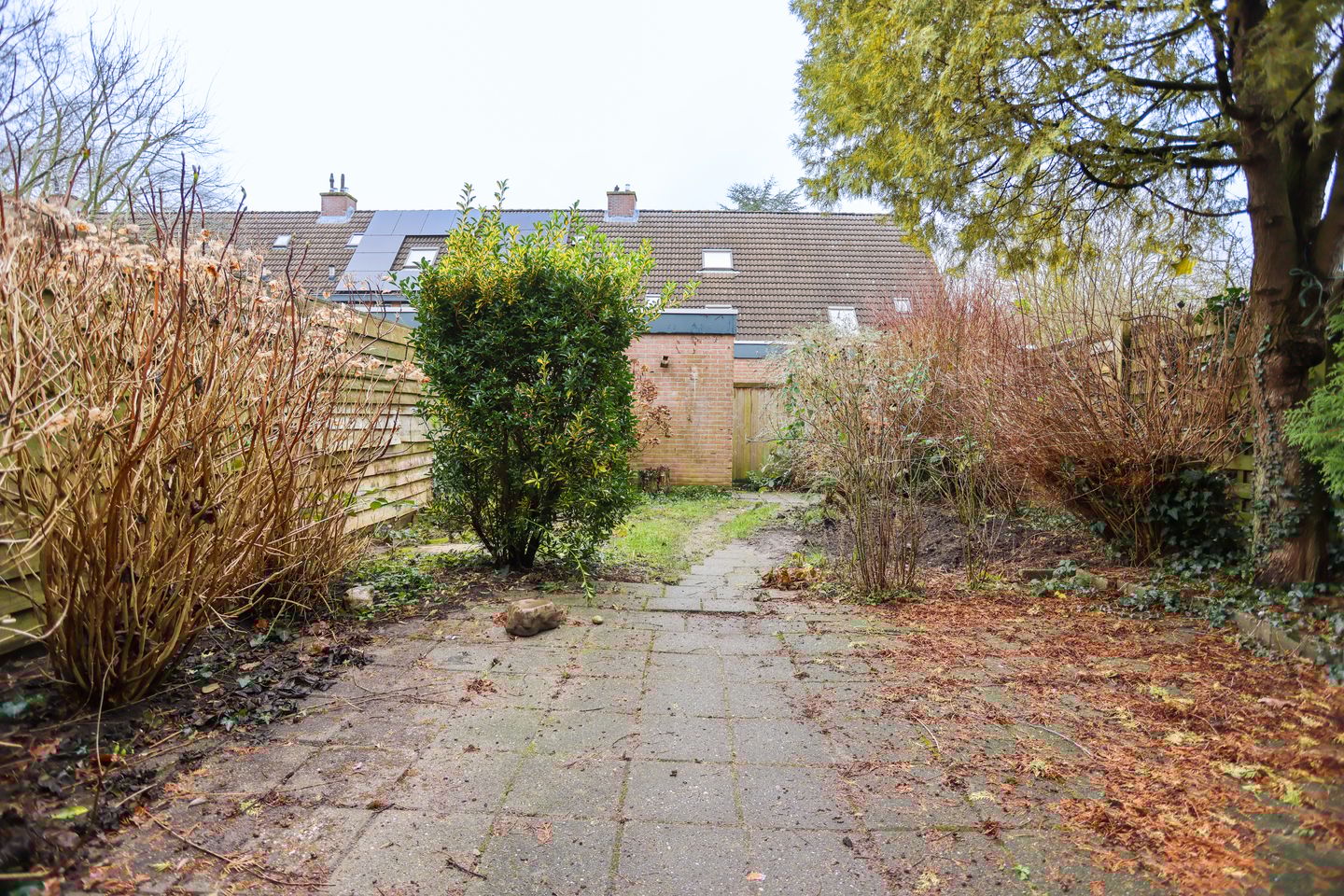 Foto 19 van Liebeek 87