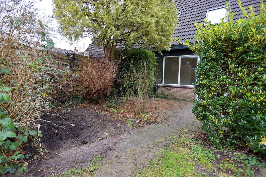 Foto 22 van Liebeek 87