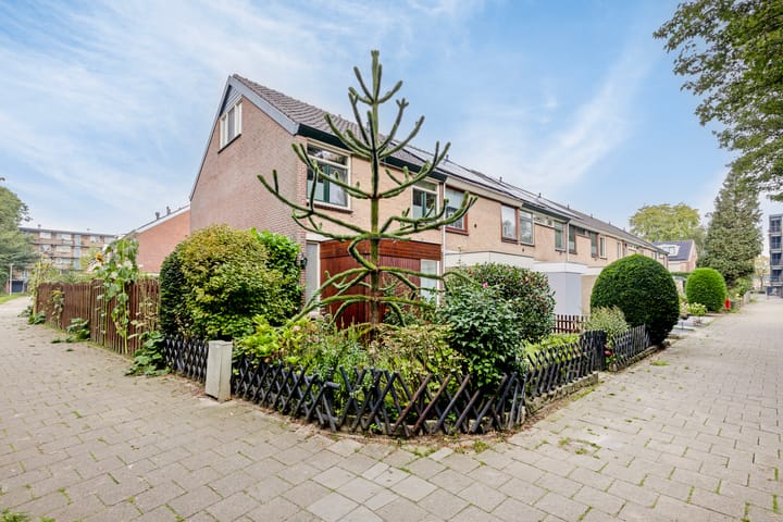 Photo 31 of IJsselpad 19