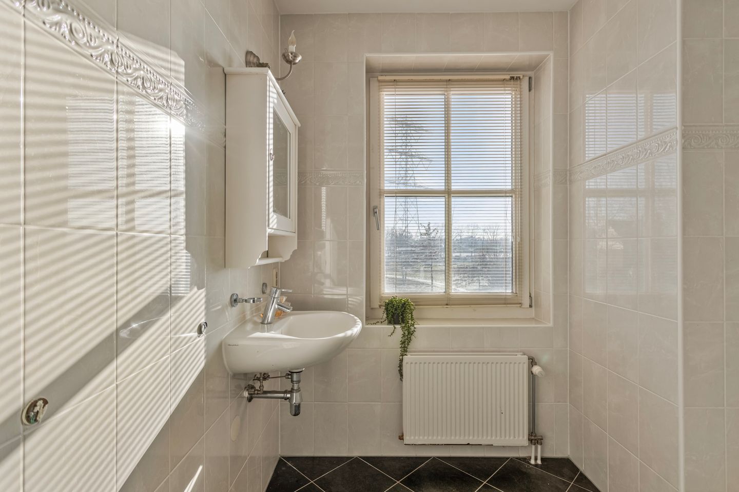 Foto 35 van Eindbeemden 20