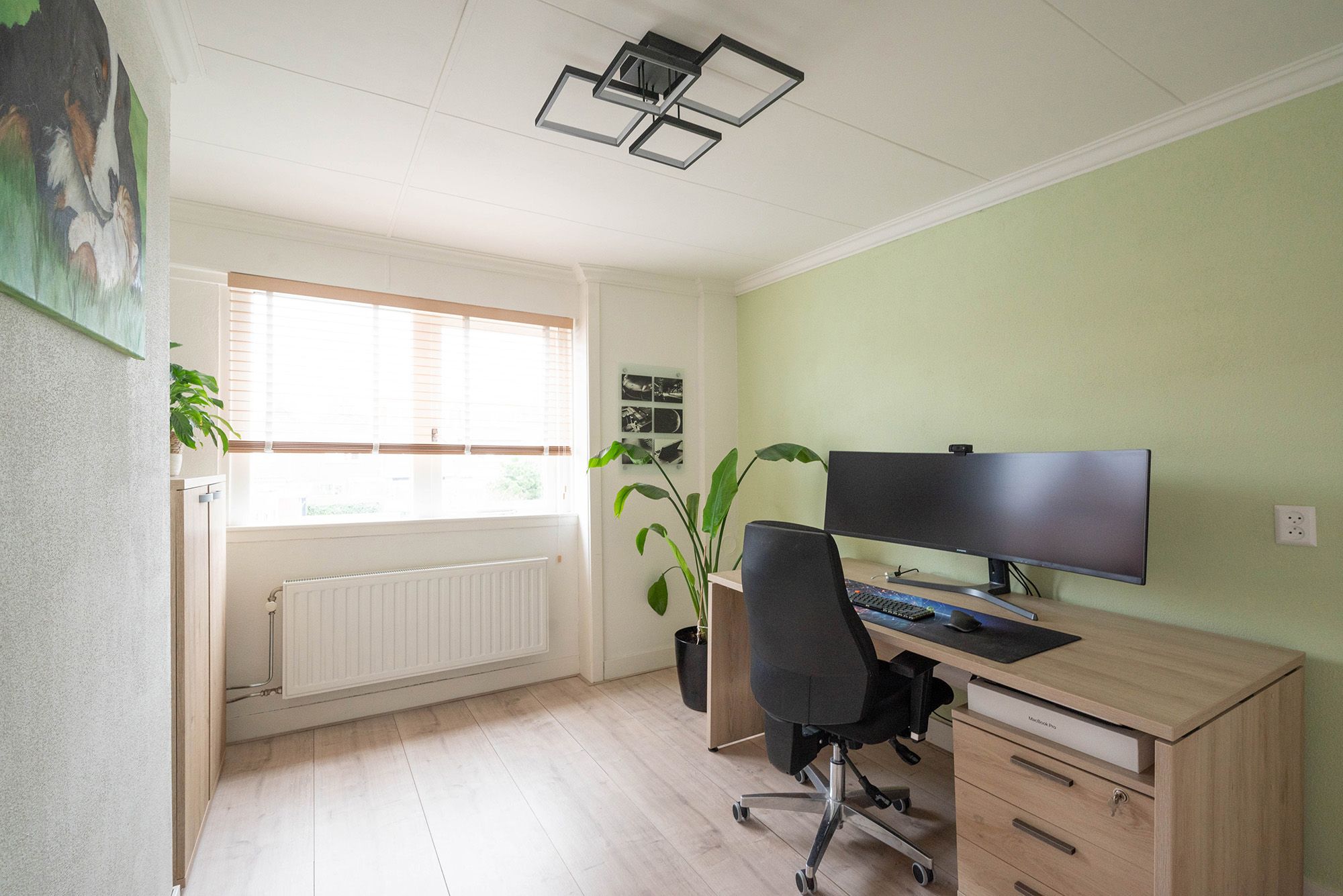 Foto 24 van Borneostraat 27