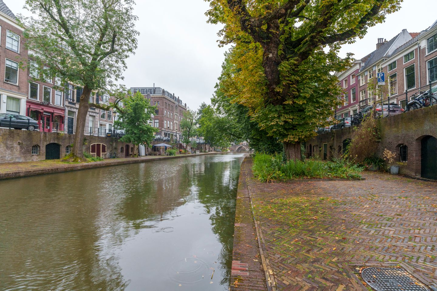 Foto 25 van Oudegracht 327