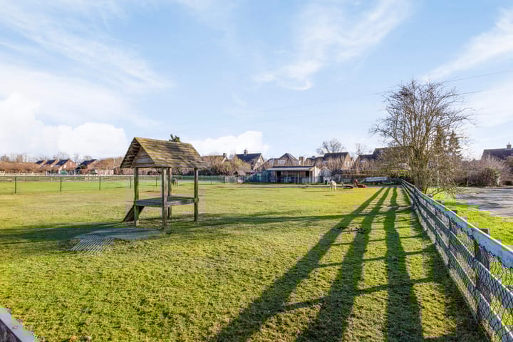 Photo 28 of Galjoen 20