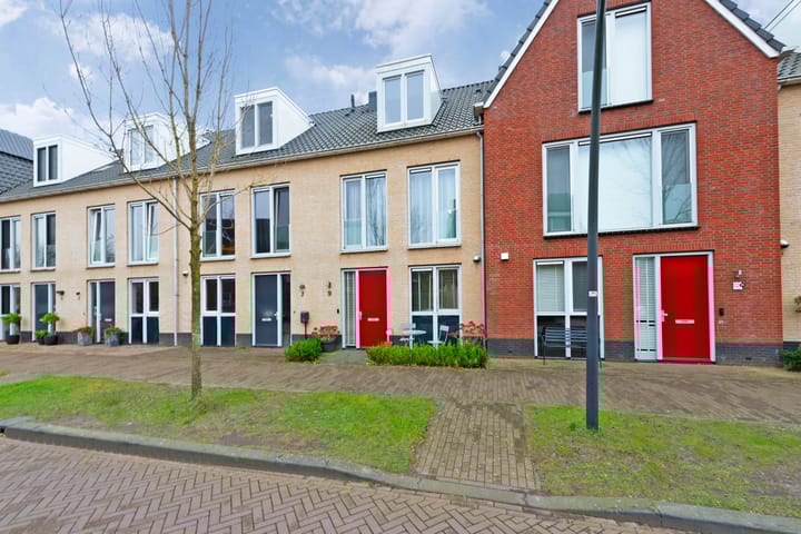 undefined main image
