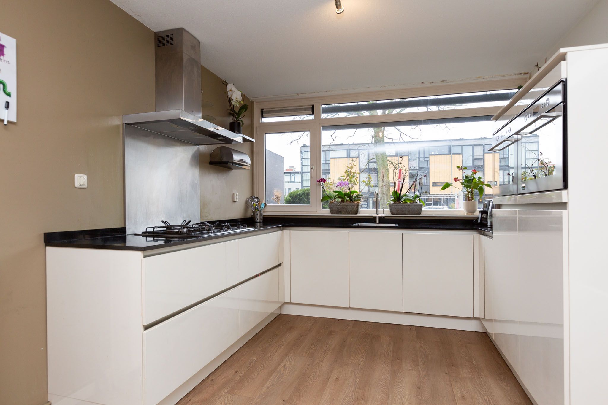 Foto 9 van Ipenrodeplantsoen 50