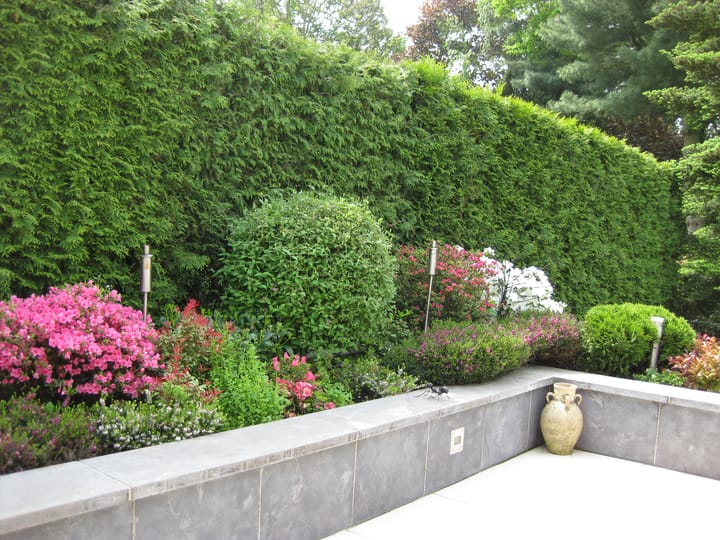 Foto 35 van Vogelenzang 13