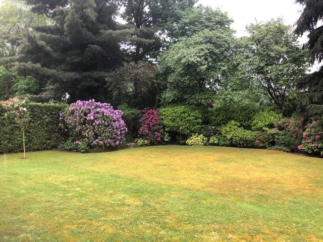 Foto 40 van Vogelenzang 13