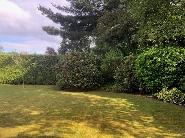 Foto 50 van Vogelenzang 13