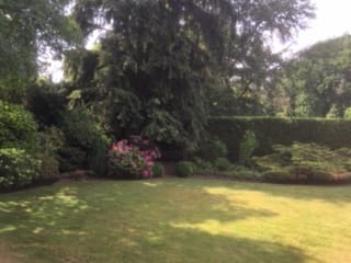 Foto 54 van Vogelenzang 13