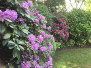 Foto 55 van Vogelenzang 13