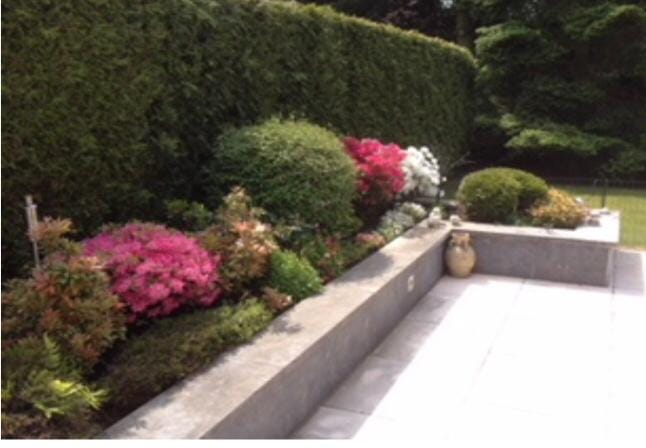 Foto 56 van Vogelenzang 13