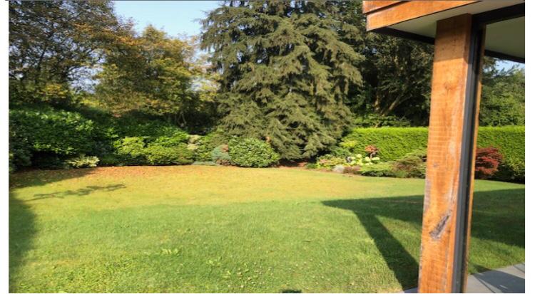 Foto 45 van Vogelenzang 13