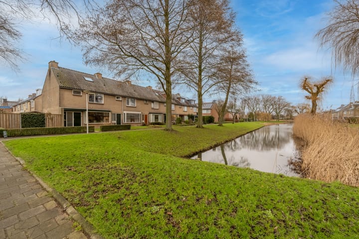 Foto 8 van Valeriaan 20