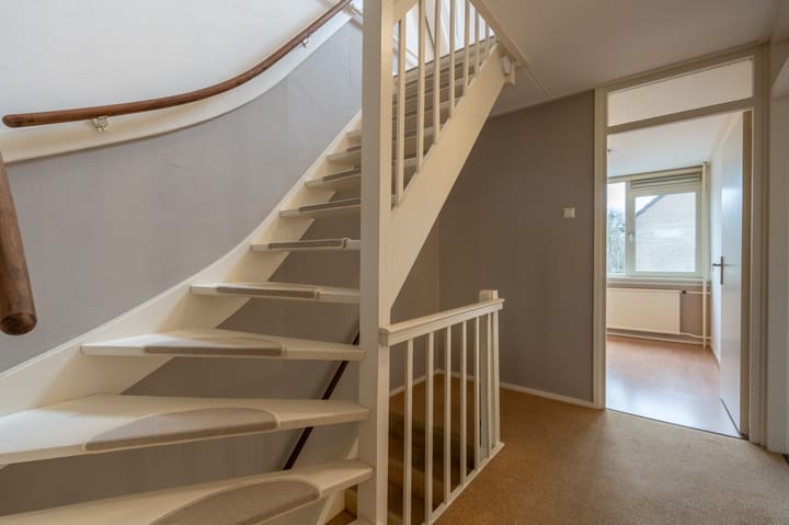 Foto 29 van Valeriaan 20