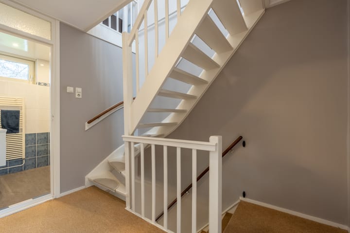 Foto 30 van Valeriaan 20