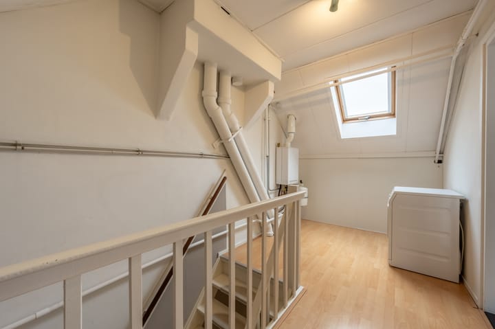 Foto 46 van Valeriaan 20