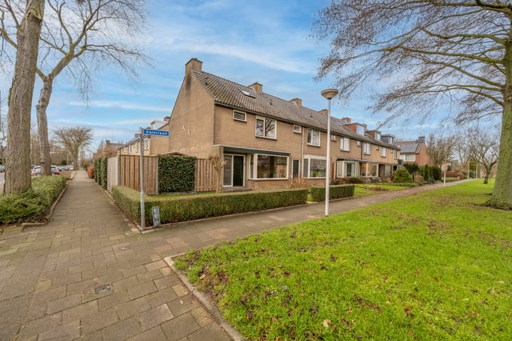 Foto 57 van Valeriaan 20