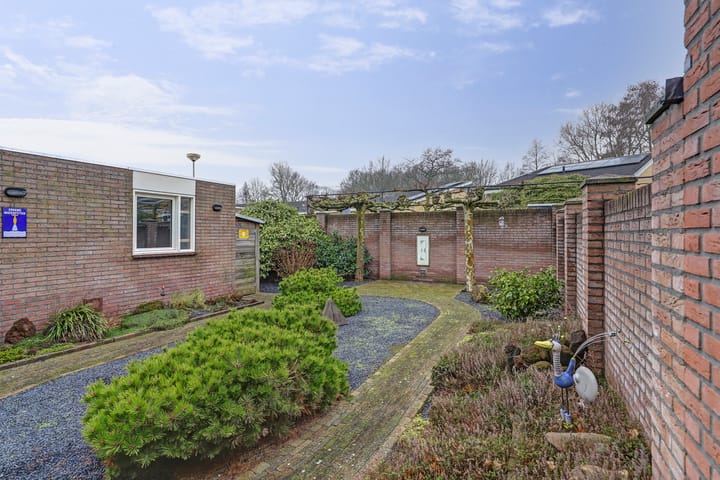 Foto 4 van Pinksterbloem 34