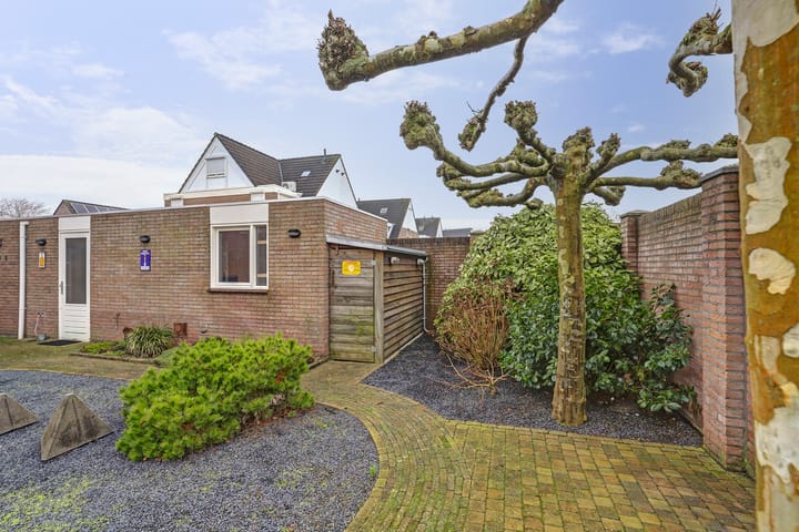 Foto 33 van Pinksterbloem 34