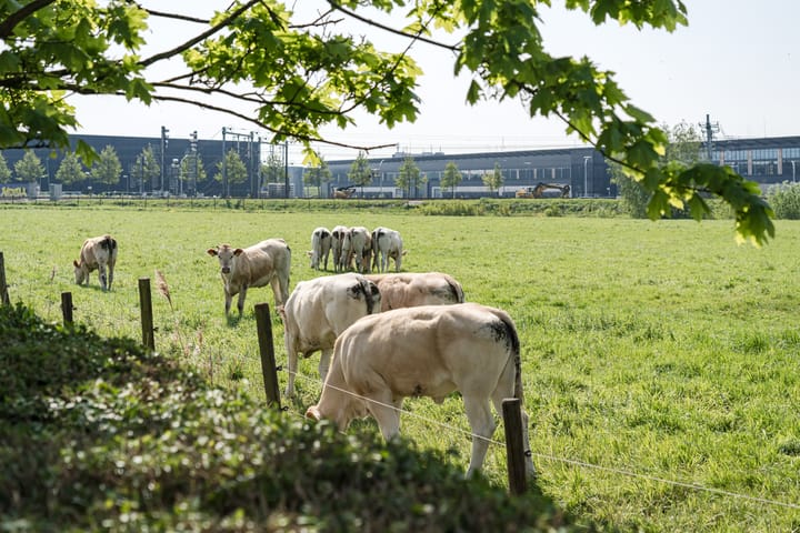 Foto 25 van Rijnlanderweg 736