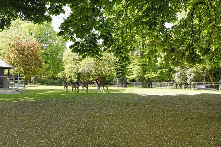 Foto 51 van Stooplaan 29