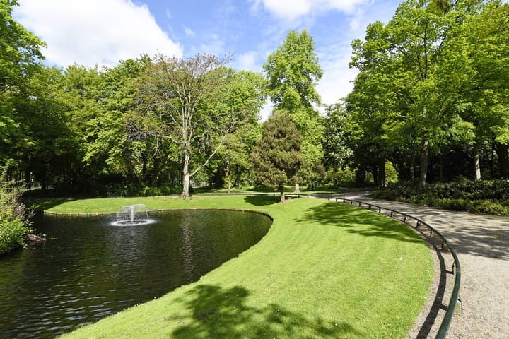 Foto 52 van Stooplaan 29