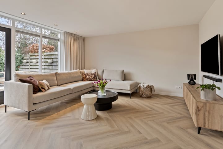 Foto 3 van Scholekster 7